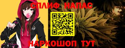 гашик Кимры