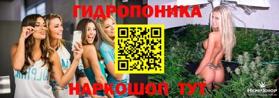 гашик Кимры