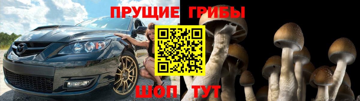 Усть-Илимск  Псилоцибиновые грибы GOLDEN TEACHER  Вход с VPN 